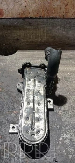 038131513ad , artVYT23764 Охладитель отработанных газов Volkswagen Golf 5 Арт VYT23764, вид 1