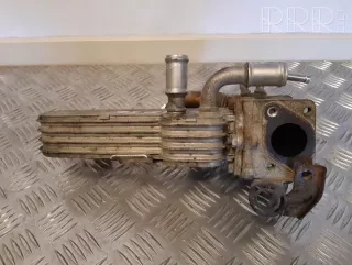 3210275 , artREM20493 Охладитель отработанных газов Volkswagen Golf PLUS 1 Арт REM20493, вид 6