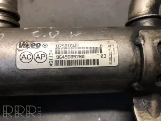 9645689780, 875816w, 9656612380 , artSEA7968 Охладитель отработанных газов Volvo S40 2 Арт SEA7968, вид 3