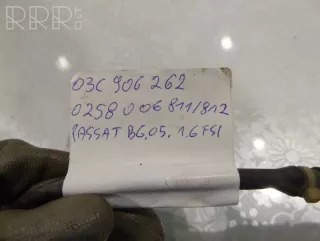 0258006811f , artACL6419 Лямбда-зонд Volkswagen Passat B6 Арт ACL6419, вид 3