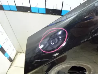 801019012R Дверь передняя левая Renault Duster 1 Арт E14857191, вид 3