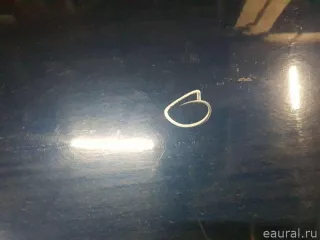 H01019U0M0 Дверь передняя левая Nissan Note E11 Арт E84476270, вид 12