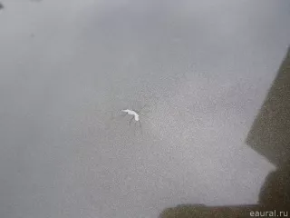 9800327480 Крыша Citroen C4 2 Арт E48315884, вид 6