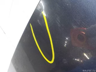 801008349R Дверь передняя правая Renault Scenic 3 Арт E31015946, вид 5