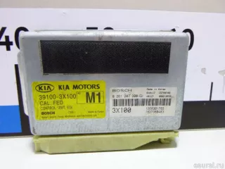 391003X100 Блок управления двигателем Kia Sportage 1 Арт E14719168, вид 1