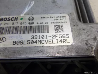 391012F565 Блок управления двигателем Kia Sportage 3 Арт E12681434, вид 2