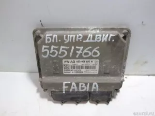 03D906023N Блок управления двигателем Skoda Fabia 2 Арт E5551766, вид 1