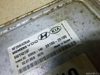 3910025100 Блок управления двигателем Hyundai Sonata (NF) Арт E100294296, вид 2