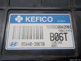 9544039670 Блок управления АКПП Hyundai Santa FE 1 (SM) Арт E30720379, вид 4