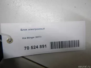 97255J5AA0 Блок электронный Kia Stinger Арт E70524891, вид 7