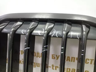 51138745730 Решетка радиатора BMW X7 g07 Арт TP73222, вид 6