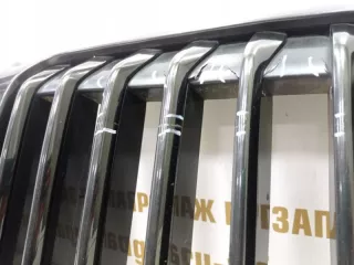 51138745730 Решетка радиатора BMW X7 g07 Арт TP73222, вид 7
