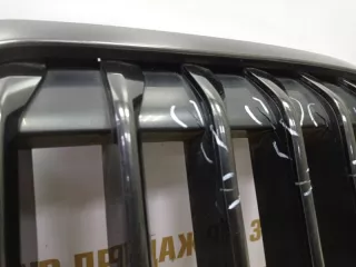 51138745730 Решетка радиатора BMW X7 g07 Арт TP73222, вид 8