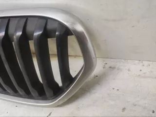 51138493451 Решетка радиатора BMW X1 F48 Арт lz209448, вид 2