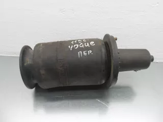 E31019002 Пневматическая рессора Land Rover Range Rover 2 Арт 00225638, вид 1
