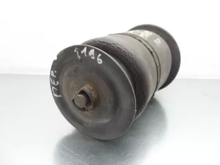 E31019002 Пневматическая рессора Land Rover Range Rover 2 Арт 00225638, вид 5