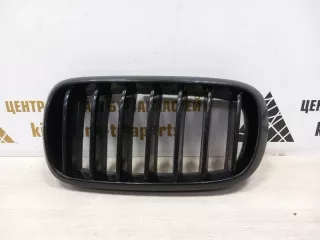 7316075 Решетка радиатора BMW X5 F15 Арт TP75691, вид 1