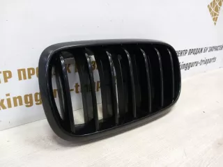 7316075 Решетка радиатора BMW X5 F15 Арт TP75691, вид 2