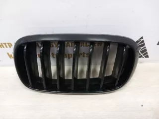7316075 Решетка радиатора BMW X5 F15 Арт TP75691, вид 4