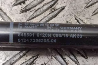 7295205 , art10076621 Амортизатор крышки багажника (3-5 двери) BMW 4 F32/F33/GT F36 Арт 10076621, вид 3