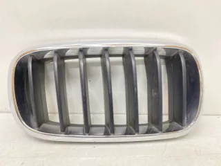 51137316054 решетка радиатора BMW X5 F15 Арт SP16607, вид 1