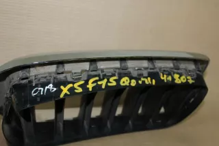 51137316061 Решетка радиатора левая BMW X5 F15 Арт Z38224, вид 3