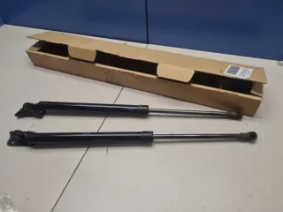 1624230780 Комплект амортизаторов двери багажника Citroen C4 Aircross Арт ZAP327836, вид 2