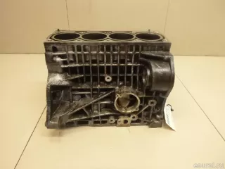 036103101BA Блок двигателя Skoda Fabia 1 Арт E80035122