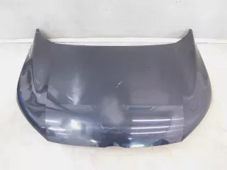 Капот Ford EcoSport Арт SM136611