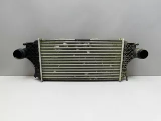  Интеркулер Mercedes ML/GLE W166 Арт SM234116005, вид 1