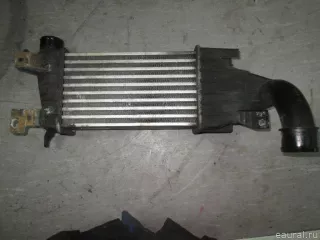 6302058 GM Интеркулер Opel Astra H Арт E50260687