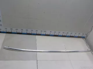 4F9860022N2ZZ VAG Рейлинг правый (планка на крышу) Audi A6 C6 (S6,RS6) Арт E52305848, вид 1