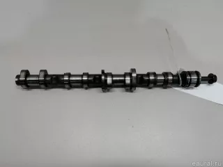 079109101EE VAG Распредвал впускной Volkswagen Touareg 1 Арт E22111547, вид 1