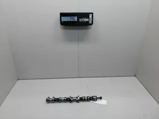 079109101EE VAG Распредвал впускной Volkswagen Touareg 1 Арт E22111547, вид 3