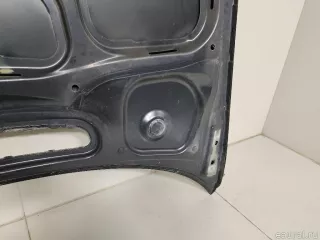 41617042893 BMW Капот BMW 3 E46 Арт E22772241, вид 19