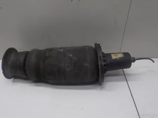 ANR4684 Land Rover Воздушная подушка (опора пневматическая) Land Rover Range Rover 2 Арт E40811083, вид 4