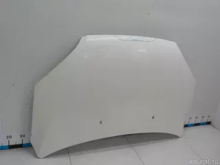 1505771 Ford Капот Ford Focus 2 Арт E41029135, вид 2