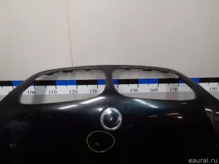 41617121102 BMW Капот BMW X5 E53 Арт E21968505, вид 2