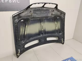 41617121102 BMW Капот BMW X5 E53 Арт E22772206, вид 13