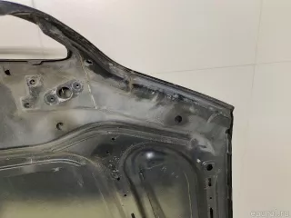 41617121102 BMW Капот BMW X5 E53 Арт E22772206, вид 16