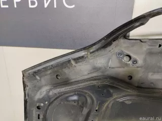 41617121102 BMW Капот BMW X5 E53 Арт E22772206, вид 17