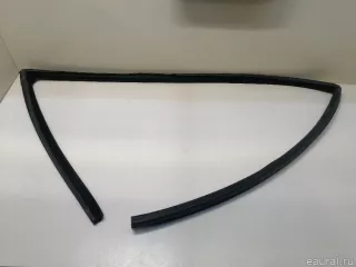 51327020578 BMW Уплотнитель стекла двери BMW X5 E53 Арт E22831245, вид 1