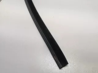 51327020578 BMW Уплотнитель стекла двери BMW X5 E53 Арт E22831245, вид 2