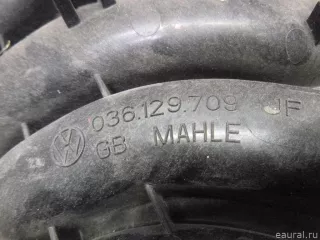 036129709JF VAG Коллектор впускной Skoda Fabia 2 restailing Арт E22929775, вид 7