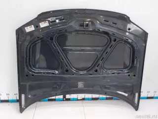 3B0823031K VAG Капот Volkswagen Passat B5 Арт E41087180, вид 11