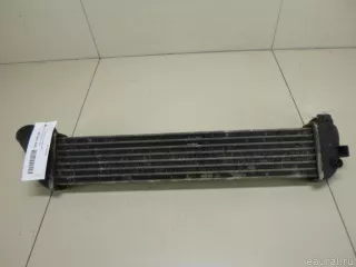 8200732390 Renault Интеркулер Renault Kangoo 1 Арт E48040998, вид 6