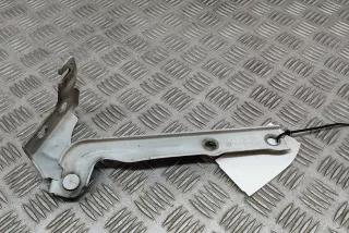 5N0823302A , art10325882 Петля капота Volkswagen Tiguan 1 Арт 10325882, вид 1