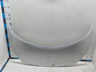 651001097R Renault Капот Renault Scenic 2 Арт E52267086, вид 1