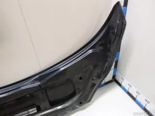651001097R Renault Капот Renault Scenic 2 Арт E90101130, вид 7