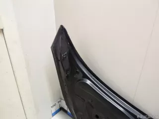651001097R Renault Капот Renault Scenic 2 Арт E90101130, вид 9